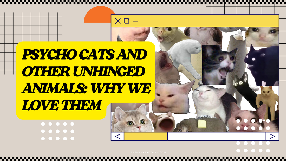 Psycho Cats and Other Unhinged Animals: Why We Love Them